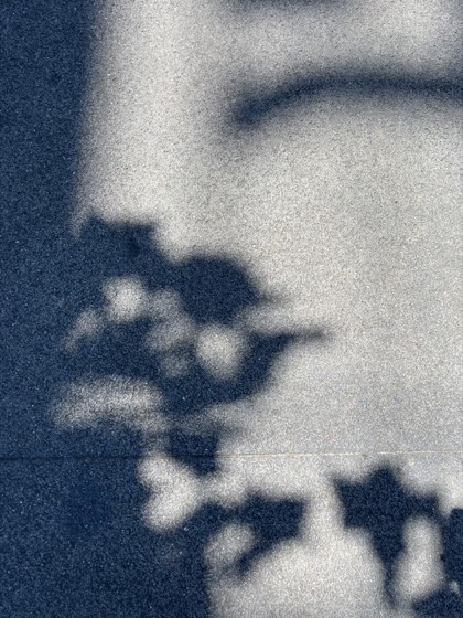 光影摄影作品：2023.09.01