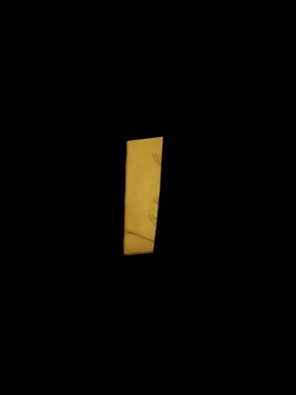 光影摄影作品：2023.11.14